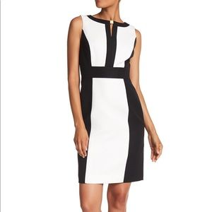 Tahari-Levine Studio Colorblock Jacquard Dress